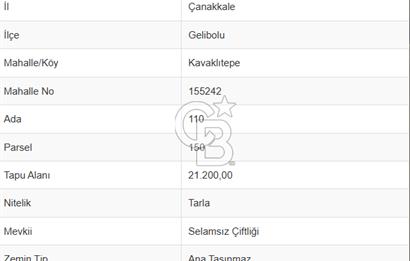 Gelibolu Kavaklıtepede FIRSAT YATIRIMLIK TARLA