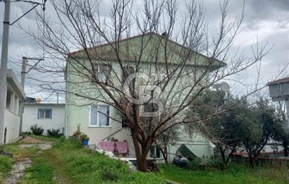 ÇANAKKALE LAPSEKİ GÜRECİ KÖYÜNDE KİRALIK 3+1  Ev