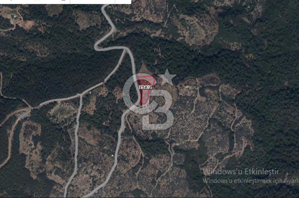 İZMİR BAYINDIR HİSAR MAH. ANA YOLA CEPHELİ SATILIK KİRAZLIK.....