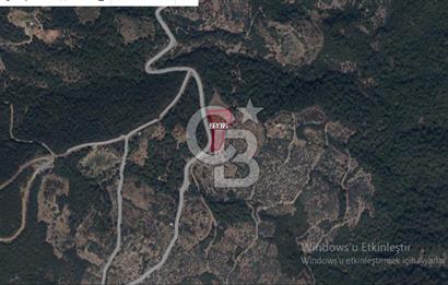 İZMİR BAYINDIR HİSAR MAH. ANA YOLA CEPHELİ SATILIK KİRAZLIK.....