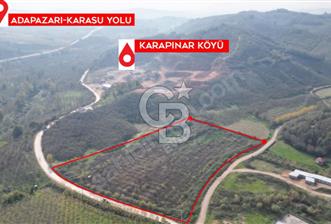 Karasuda Tarıma Ve Yatırıma Uygun | Köşe Parsel - 1 - 342719