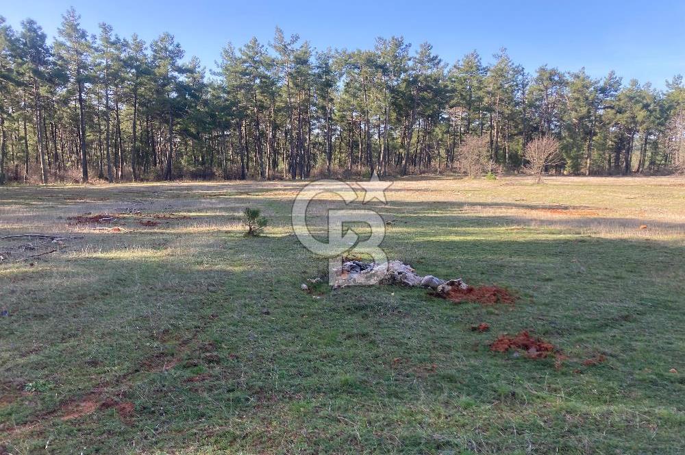 Muğla Menteşe Kuyucak’da 1559m2 Satılık Tarla 
