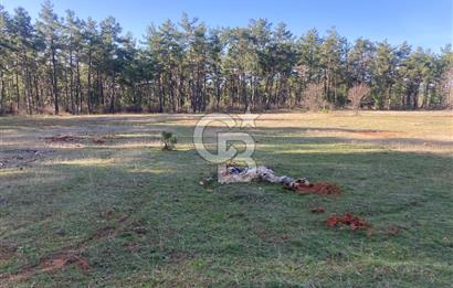 Muğla Menteşe Kuyucak’da 1559m2 Satılık Tarla 