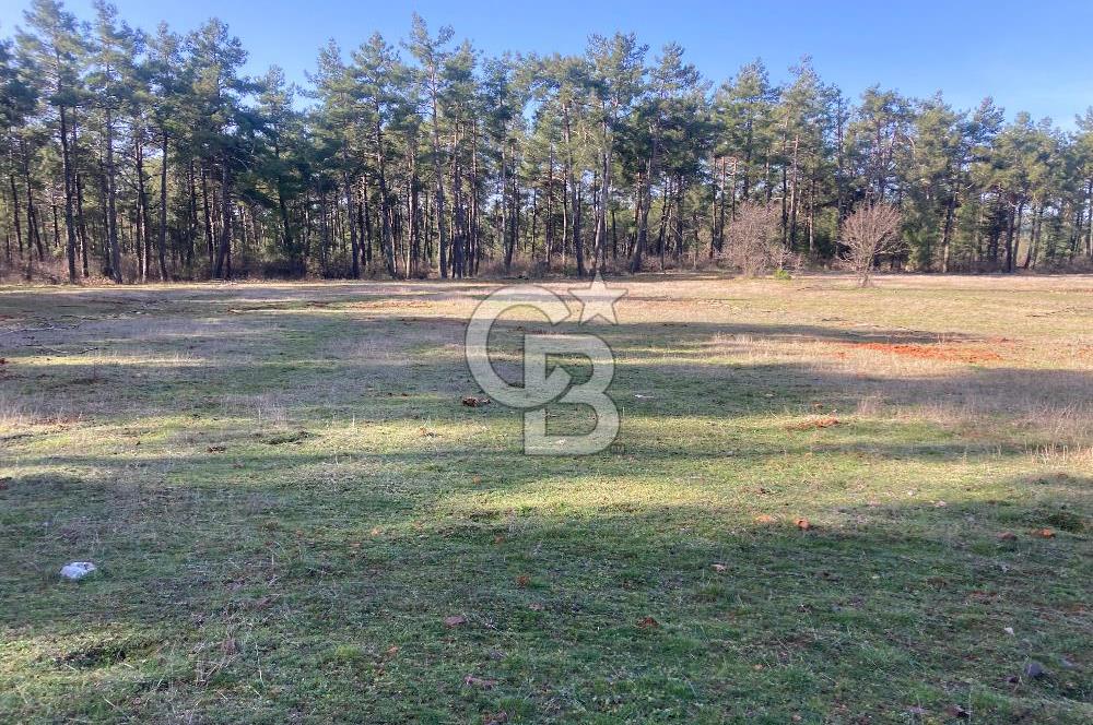 Muğla Menteşe Kuyucak’da 1559m2 Satılık Tarla 