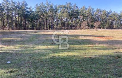 Muğla Menteşe Kuyucak’da 1559m2 Satılık Tarla 