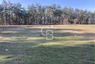 Muğla Menteşe Kuyucak’da 1559m2 Satılık Tarla  - 1 - 342743