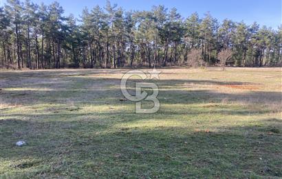 Muğla Menteşe Kuyucak’da 1559m2 Satılık Tarla 