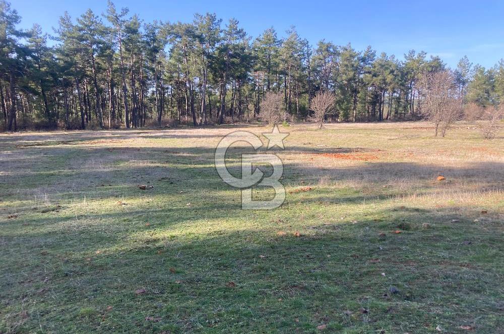 Muğla Menteşe Kuyucak’da 1559m2 Satılık Tarla 