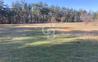 Muğla Menteşe Kuyucak’da 1559m2 Satılık Tarla 