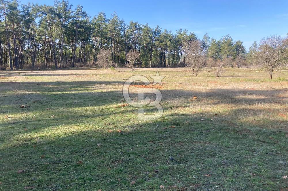 Muğla Menteşe Kuyucak’da 1559m2 Satılık Tarla 