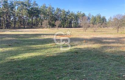 Muğla Menteşe Kuyucak’da 1559m2 Satılık Tarla 