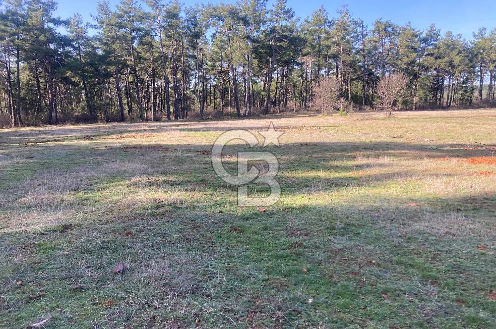 Muğla Menteşe Kuyucak’da 1559m2 Satılık Tarla 
