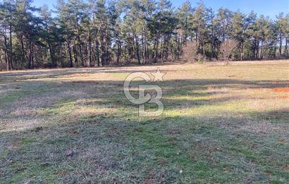 Muğla Menteşe Kuyucak’da 1559m2 Satılık Tarla 