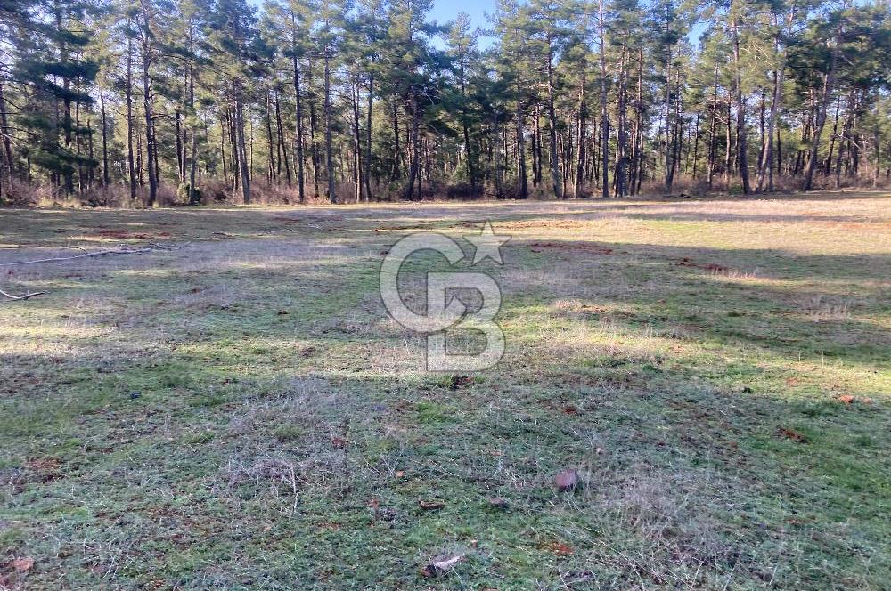 Muğla Menteşe Kuyucak’da 1559m2 Satılık Tarla 