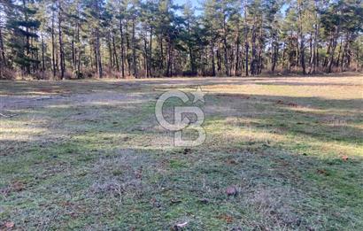 Muğla Menteşe Kuyucak’da 1559m2 Satılık Tarla 