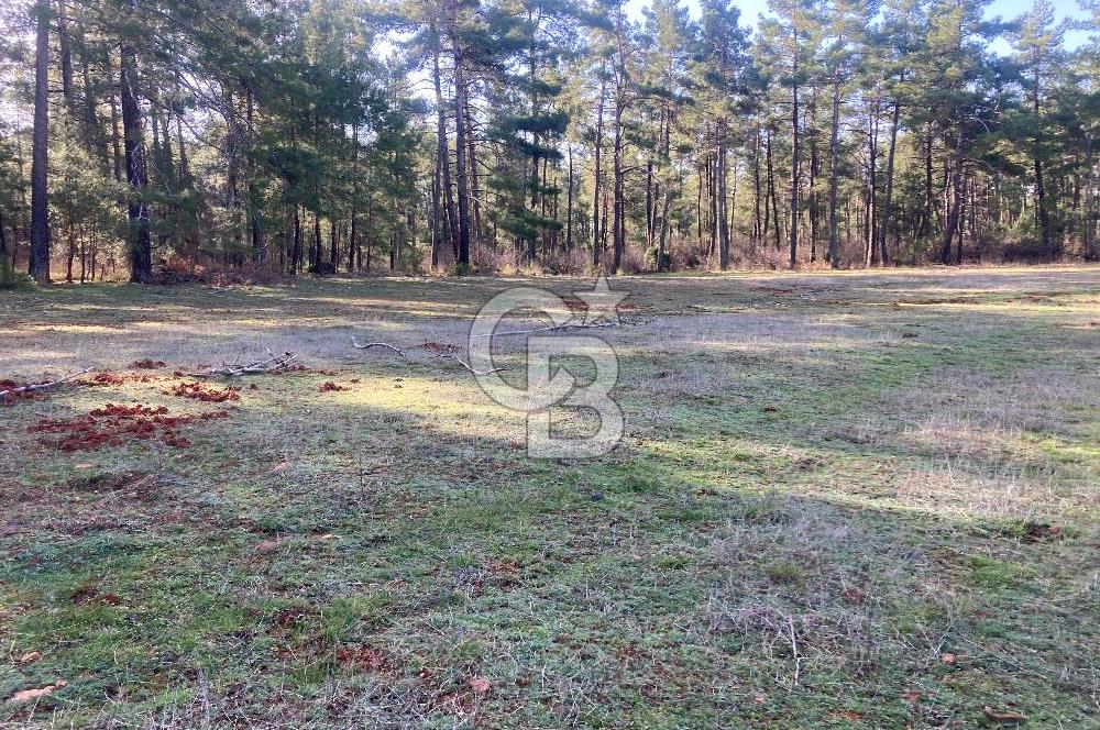 Muğla Menteşe Kuyucak’da 1559m2 Satılık Tarla 