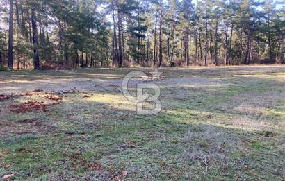 Muğla Menteşe Kuyucak’da 1559m2 Satılık Tarla 