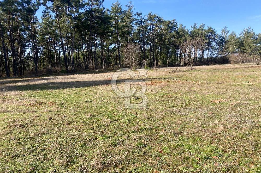 Muğla Menteşe Kuyucak’da 1559m2 Satılık Tarla 