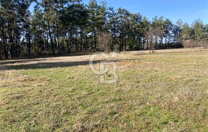 Muğla Menteşe Kuyucak’da 1559m2 Satılık Tarla 