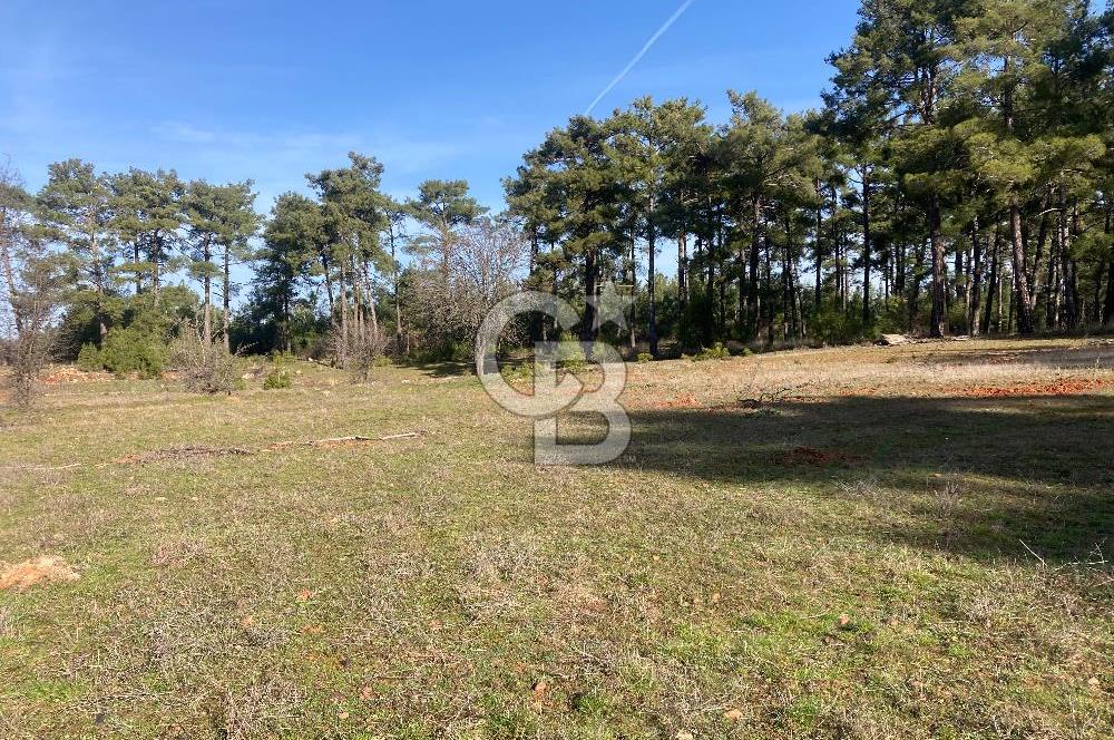 Muğla Menteşe Kuyucak’da 1430m2 Satılık Tarla 