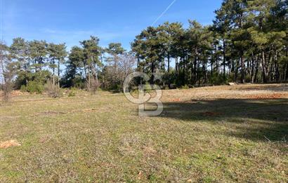 Muğla Menteşe Kuyucak’da 1430m2 Satılık Tarla 