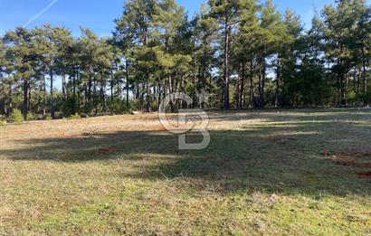 Muğla Menteşe Kuyucak’da 1430m2 Satılık Tarla 