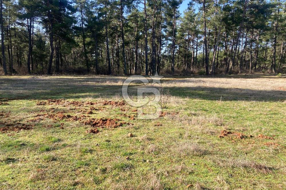 Muğla Menteşe Kuyucak’da 1430m2 Satılık Tarla 