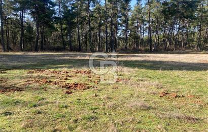 Muğla Menteşe Kuyucak’da 1430m2 Satılık Tarla 