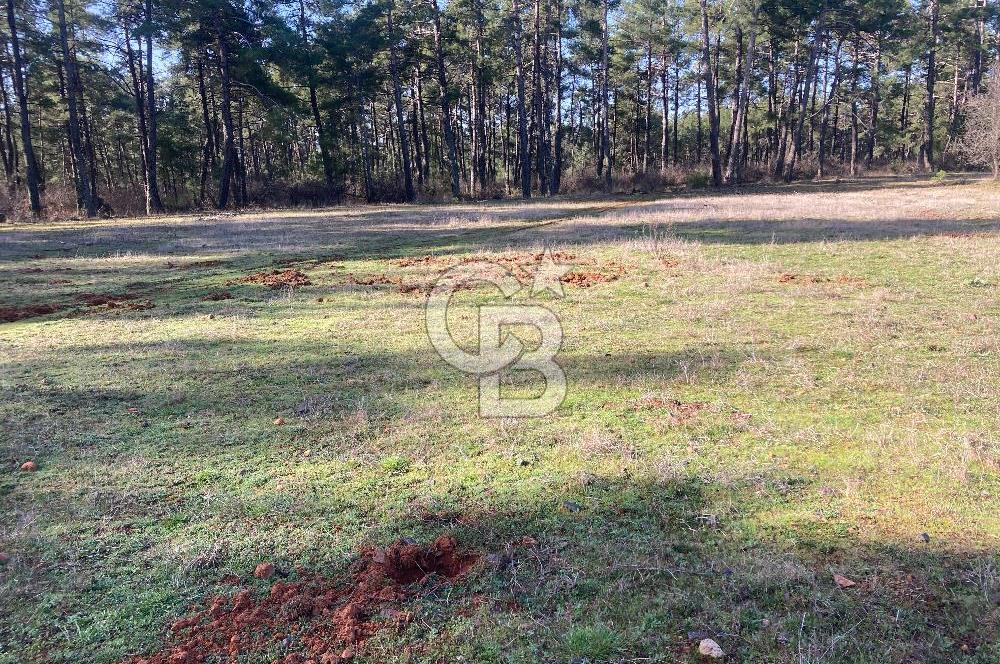 Muğla Menteşe Kuyucak’da 1430m2 Satılık Tarla 