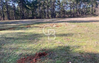 Muğla Menteşe Kuyucak’da 1430m2 Satılık Tarla 