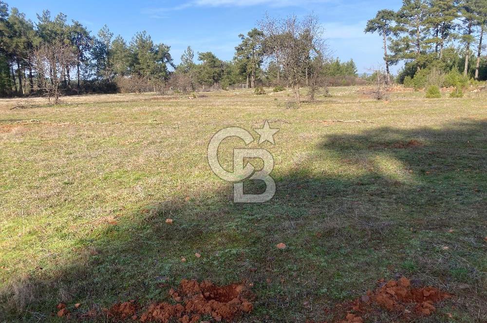 Muğla Menteşe Kuyucak’da 1430m2 Satılık Tarla 