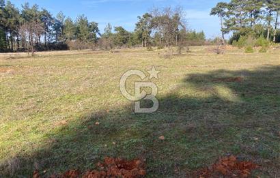 Muğla Menteşe Kuyucak’da 1430m2 Satılık Tarla 