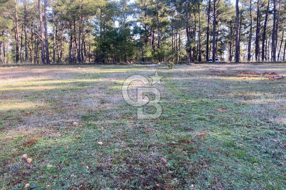 Muğla Menteşe Kuyucak’da 1430m2 Satılık Tarla 