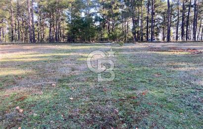 Muğla Menteşe Kuyucak’da 1430m2 Satılık Tarla 