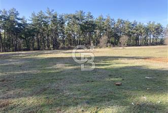 Muğla Menteşe Kuyucak’da 1430m2 Satılık Tarla  - 2 - 342742