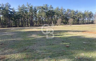 Muğla Menteşe Kuyucak’da 1430m2 Satılık Tarla 