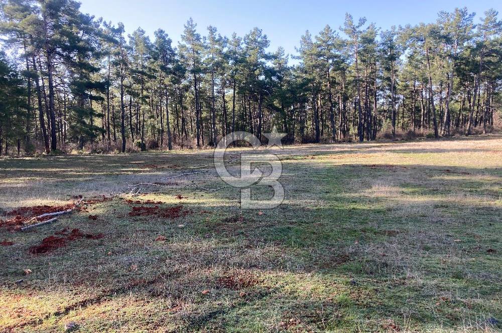 Muğla Menteşe Kuyucak’da 1430m2 Satılık Tarla 