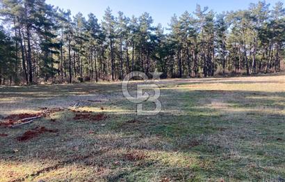 Muğla Menteşe Kuyucak’da 1430m2 Satılık Tarla 