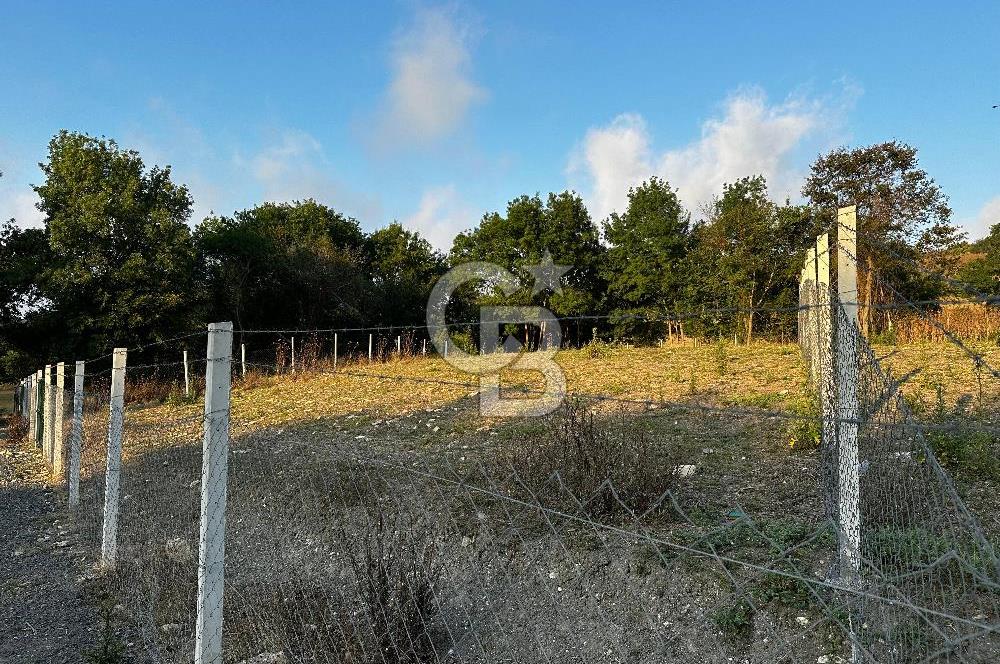 ÇATALCA CELEPKÖY'DE SATILIK HİSSELİ TARLA