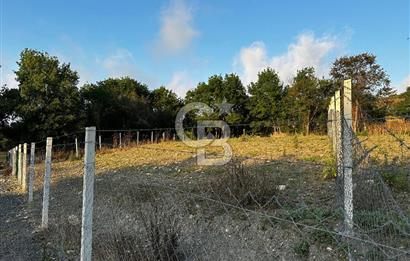 ÇATALCA CELEPKÖY'DE SATILIK HİSSELİ TARLA