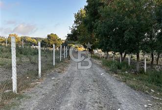 ÇATALCA CELEPKÖY'DE SATILIK HİSSELİ TARLA - 4 - 342727