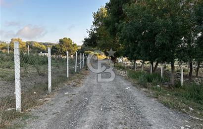 ÇATALCA CELEPKÖY'DE SATILIK HİSSELİ TARLA