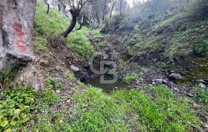 SEFERİHİSAR/GÖDENCE SATILIK ZEYTİNLİK