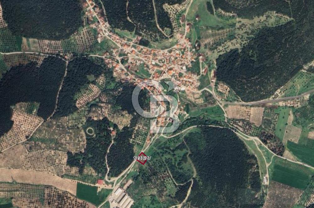 Bozköy İçerisinde Yola Cepheli 8 Hisseli 1948 m2 Satılık Bahçe