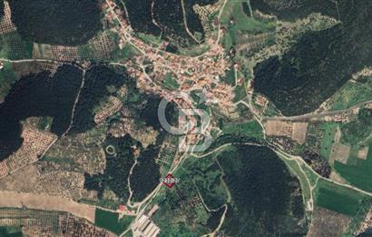 Bozköy İçerisinde Yola Cepheli 8 Hisseli 1948 m2 Satılık Bahçe