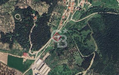 Bozköy İçerisinde Yola Cepheli 8 Hisseli 1948 m2 Satılık Bahçe