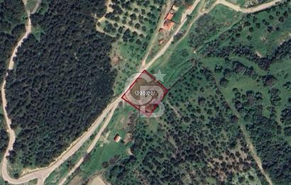 Bozköy İçerisinde Yola Cepheli 8 Hisseli 1948 m2 Satılık Bahçe