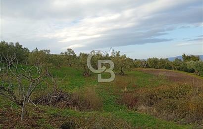 CB CLASS GÜNDOĞDU DENİZ MANZARALI TARLA