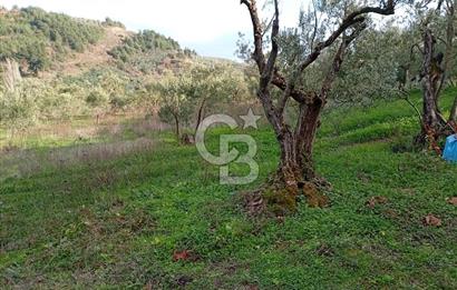 CB CLASS GÜNDOĞDU DENİZ MANZARALI TARLA