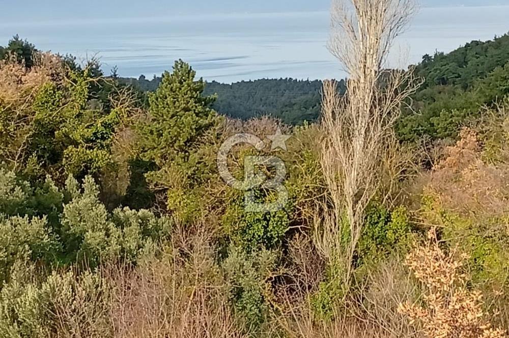 CB CLASS GÜNDOĞDU DENİZ MANZARALI TARLA